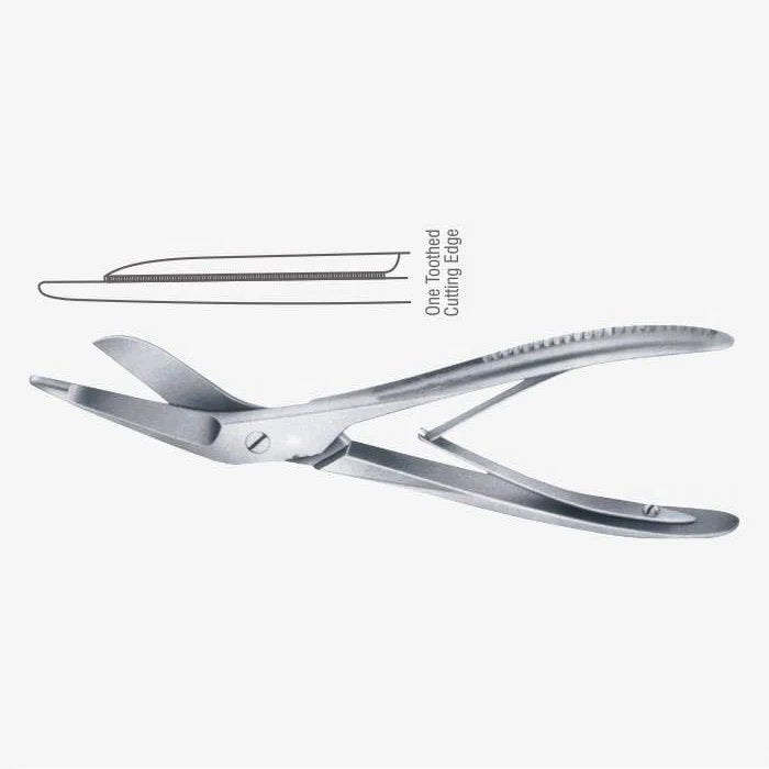 Plaster of Paris Shear