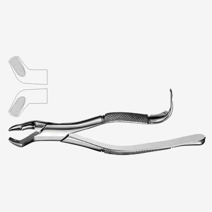 Fórceps de extracción de dientes American Pattern Fig. 210H