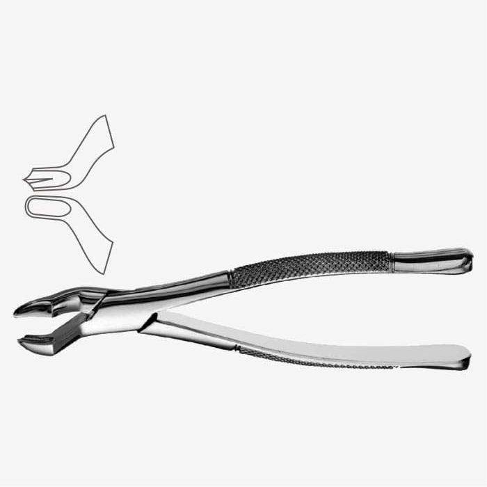 Pinzas de extracción dental de patrón americano, fig. 53L