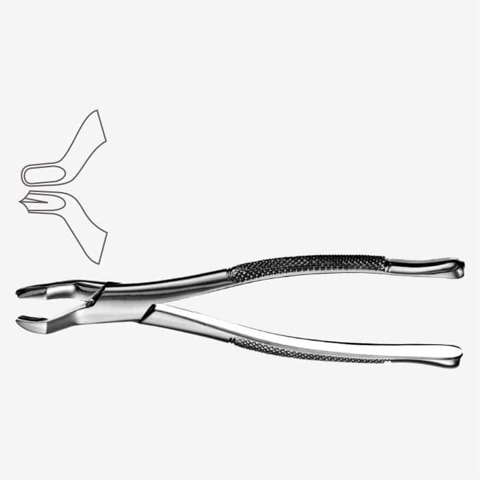 Fórceps para extracción dental tipo americano núm. 53R
