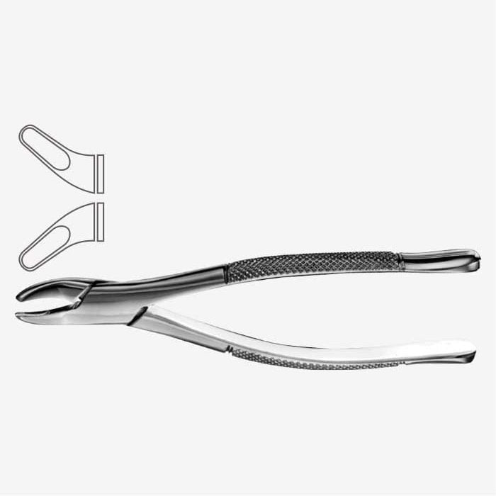 Fórceps para extracción dental patrón americano, Fig. 62