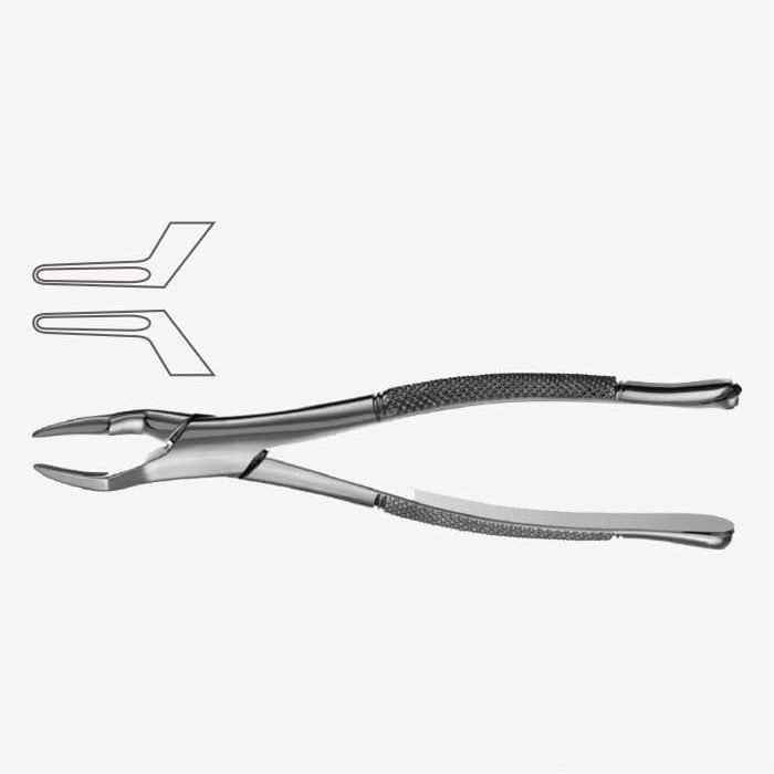Fórceps de extracción de dientes American Pattern Fig. 65