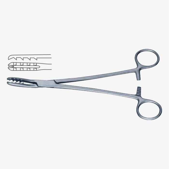 Bircher-Ganske Cartilage Seizing Forceps