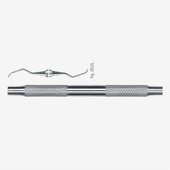 Cureta Columbia Fig. 2R/2L