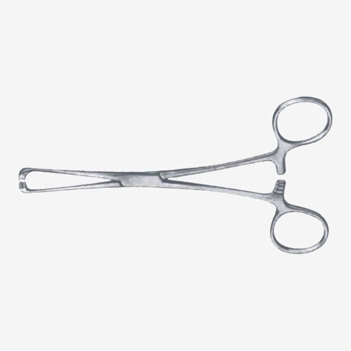 Steinmann Tendon Holding Forceps